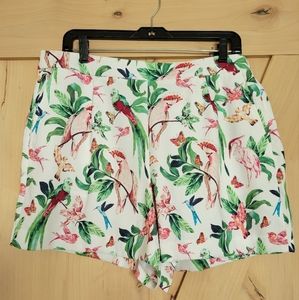Ann Taylor Factory Bird Shorts